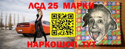 СК Тара