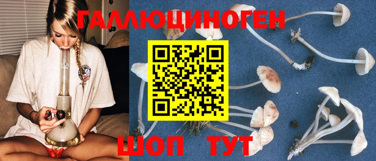 Галлюциногенные грибы GOLDEN TEACHER Барнаул